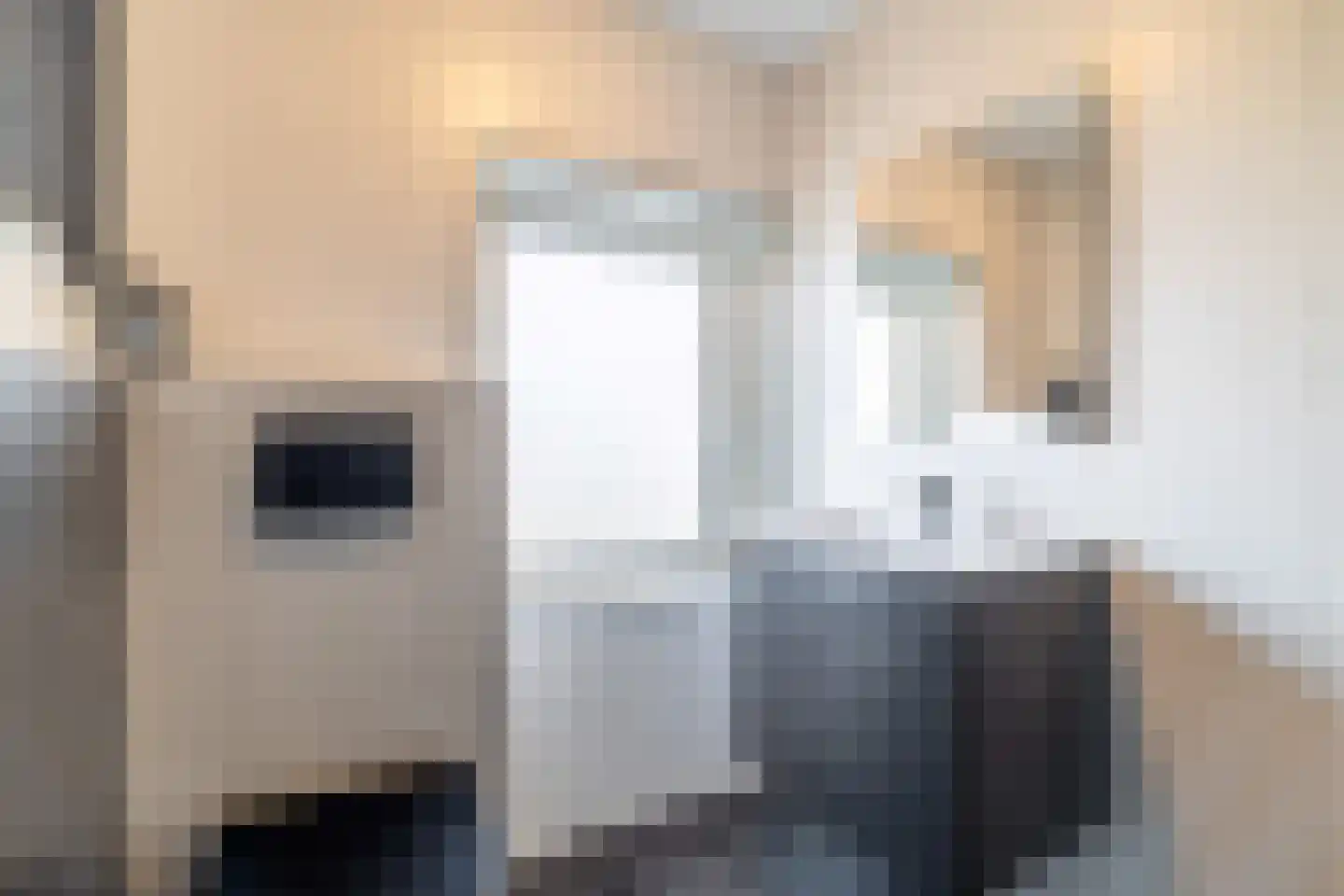 Hoofdstraat 44 Vroomshoop thumbnail 24