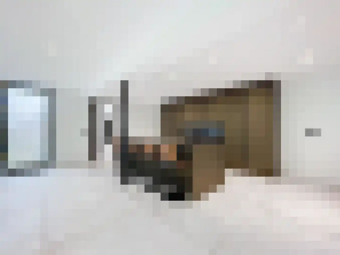 Hoofdstraat 44 Vroomshoop thumbnail 31