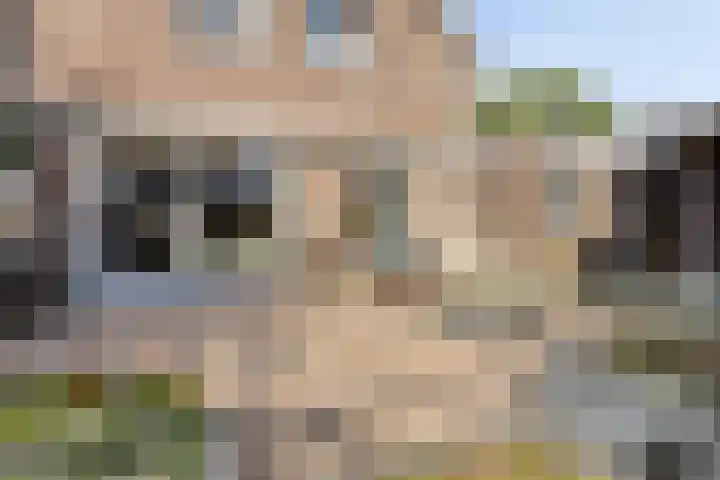 Hoofdstraat 44 Vroomshoop thumbnail 50