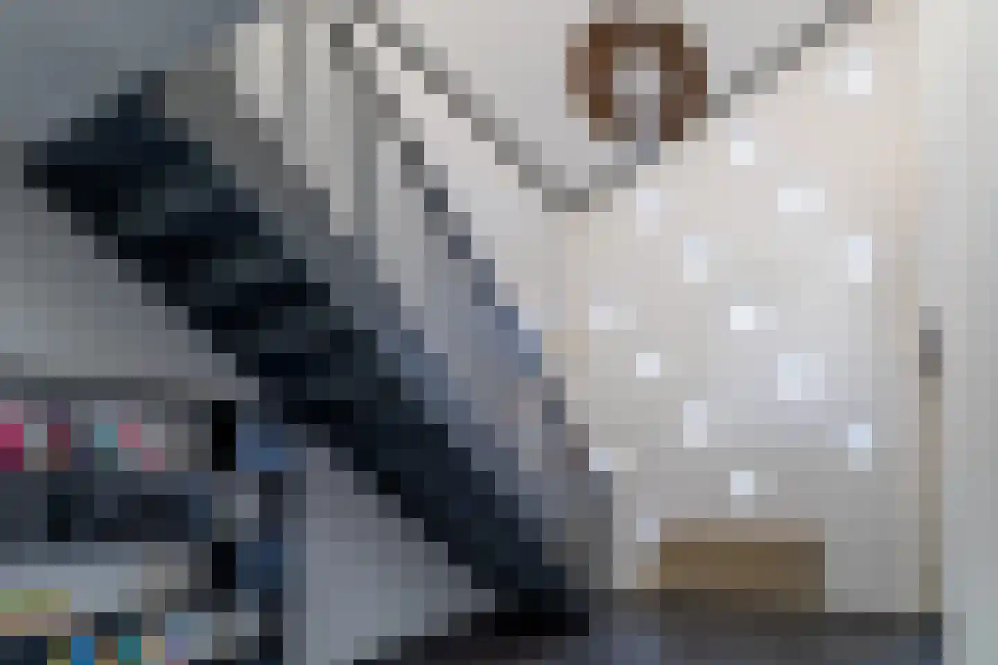Hoofdstraat 44 Vroomshoop thumbnail 6