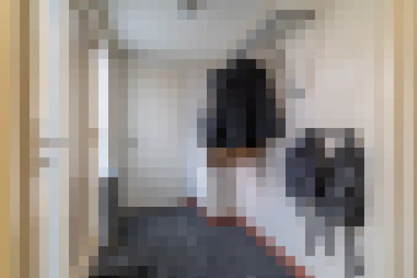 Hoofdstraat 44 Vroomshoop thumbnail 7