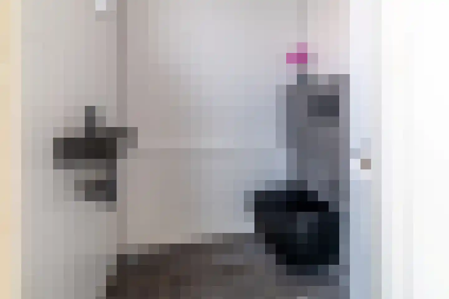 Hoofdstraat 44 Vroomshoop thumbnail 8