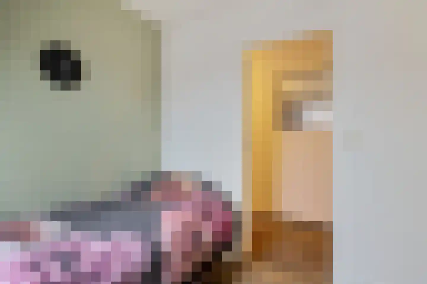 Hoofdstraat 45 a Ter Apel thumbnail 26