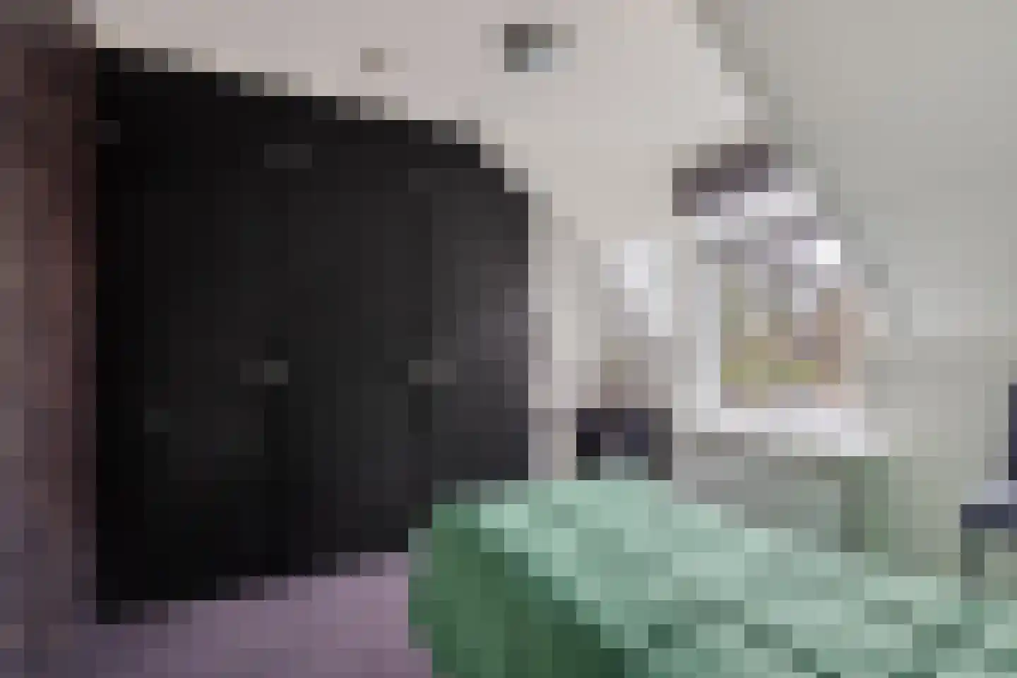 Hoofdstraat 45 a Ter Apel thumbnail 32