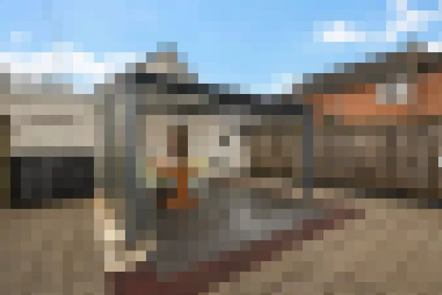Hoofdstraat 45 a Ter Apel thumbnail 36