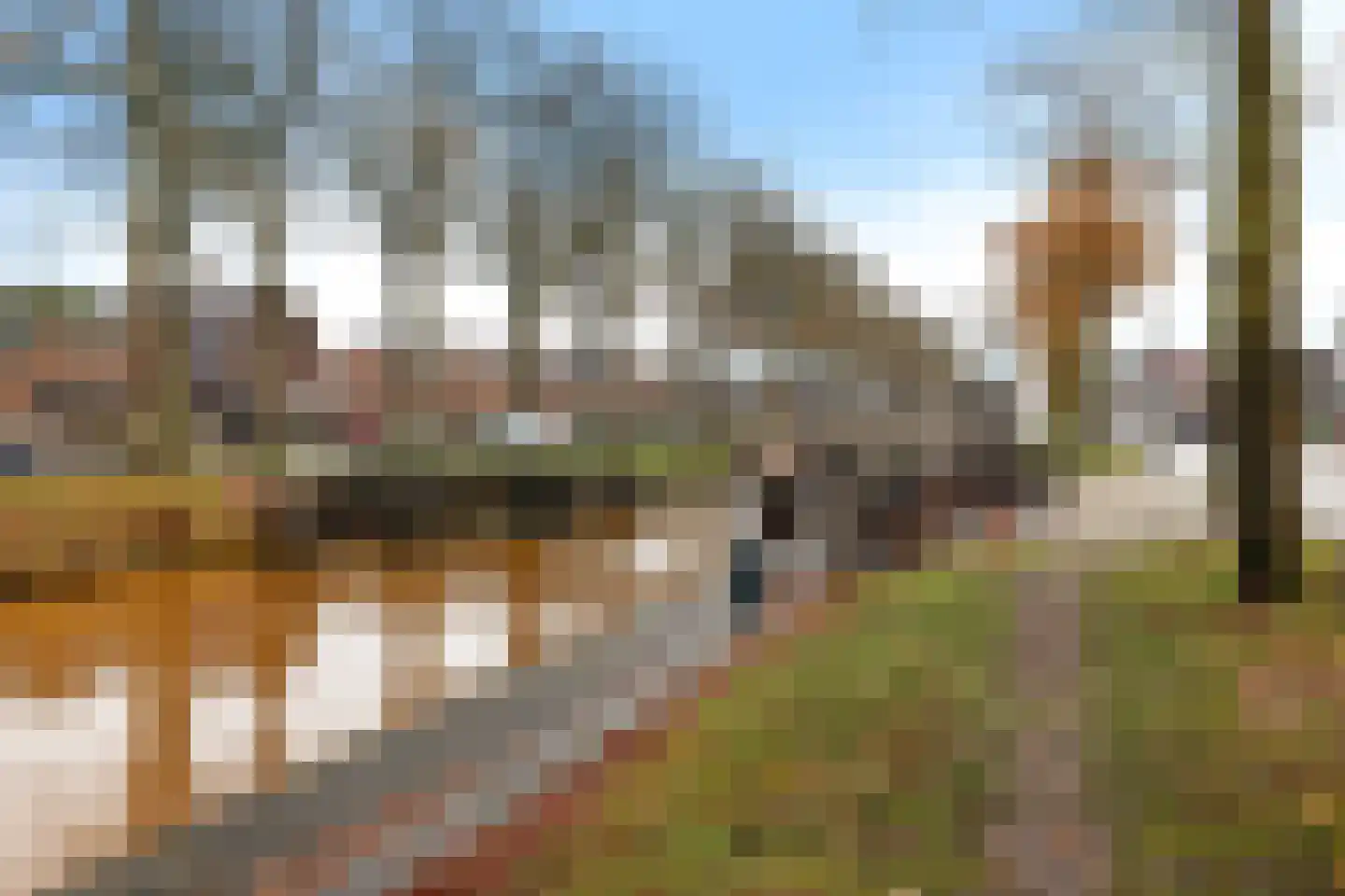 Hoofdstraat 45 a Ter Apel thumbnail 4