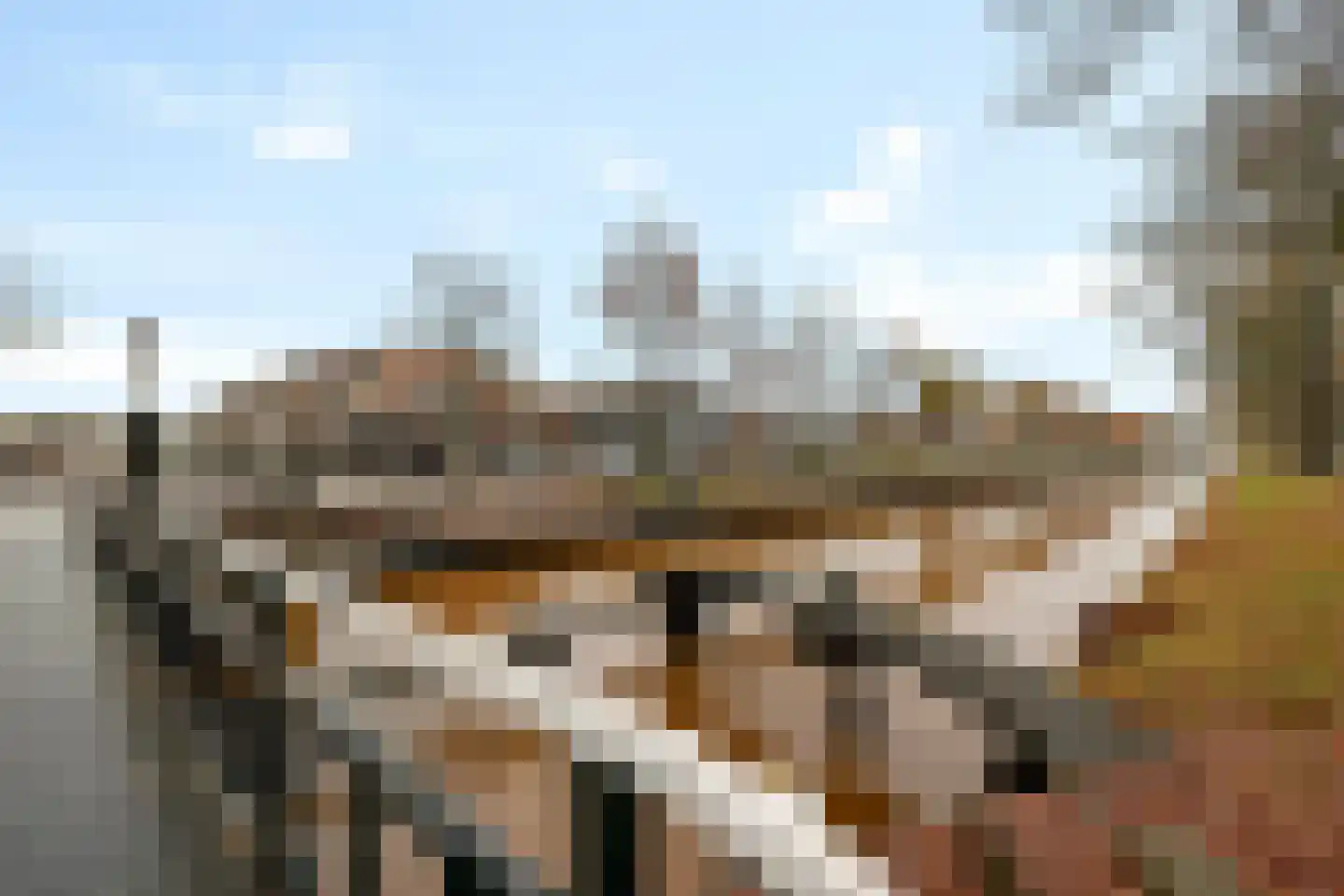 Hoofdstraat 45 a Ter Apel thumbnail 6