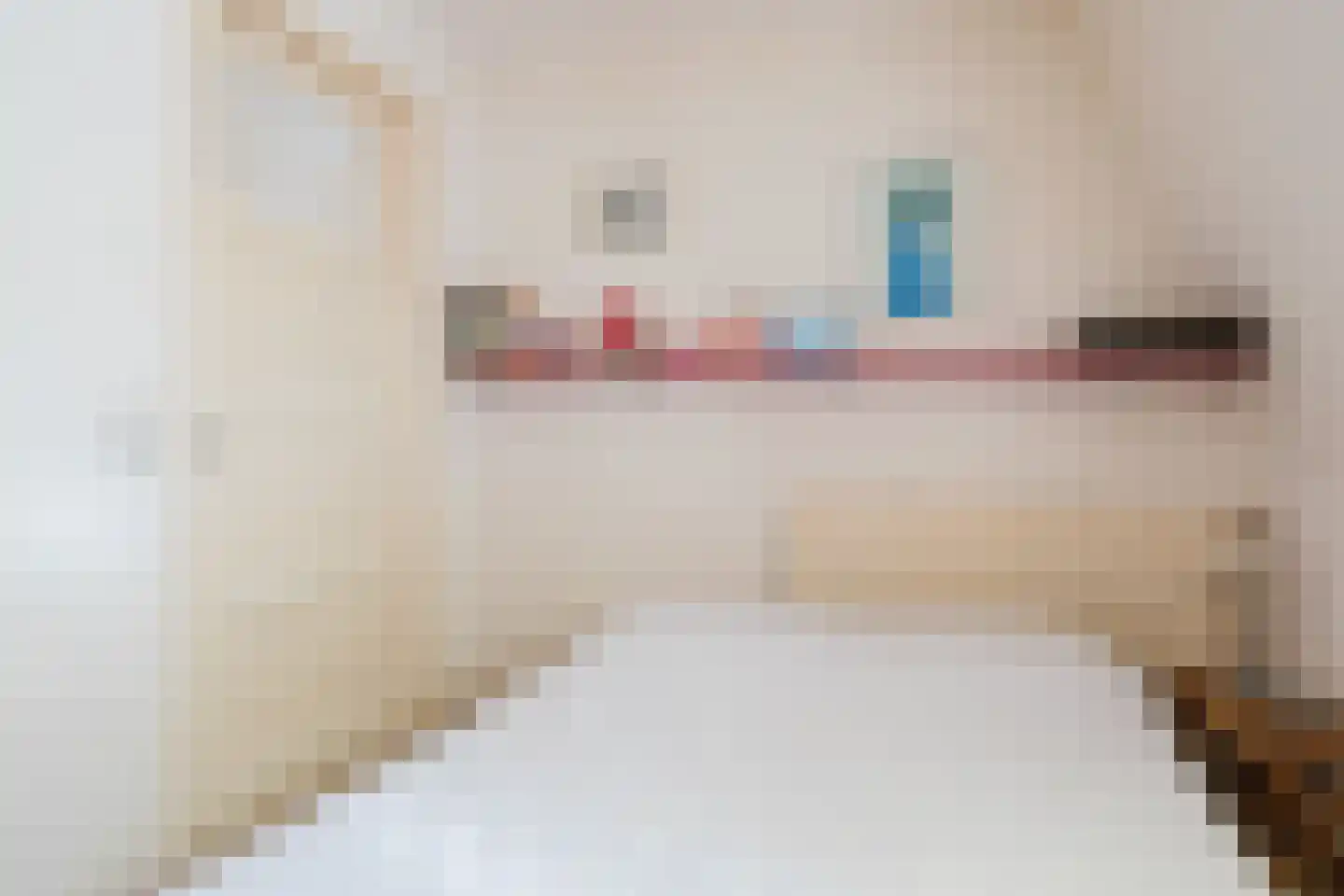 Hoofdstraat 45 Gorredijk thumbnail 44