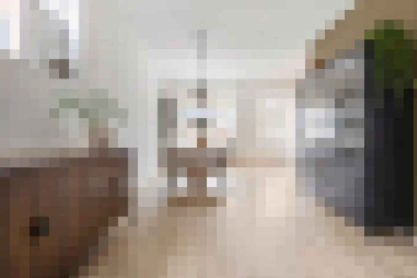 Hoofdstraat 45 Niezijl thumbnail 10
