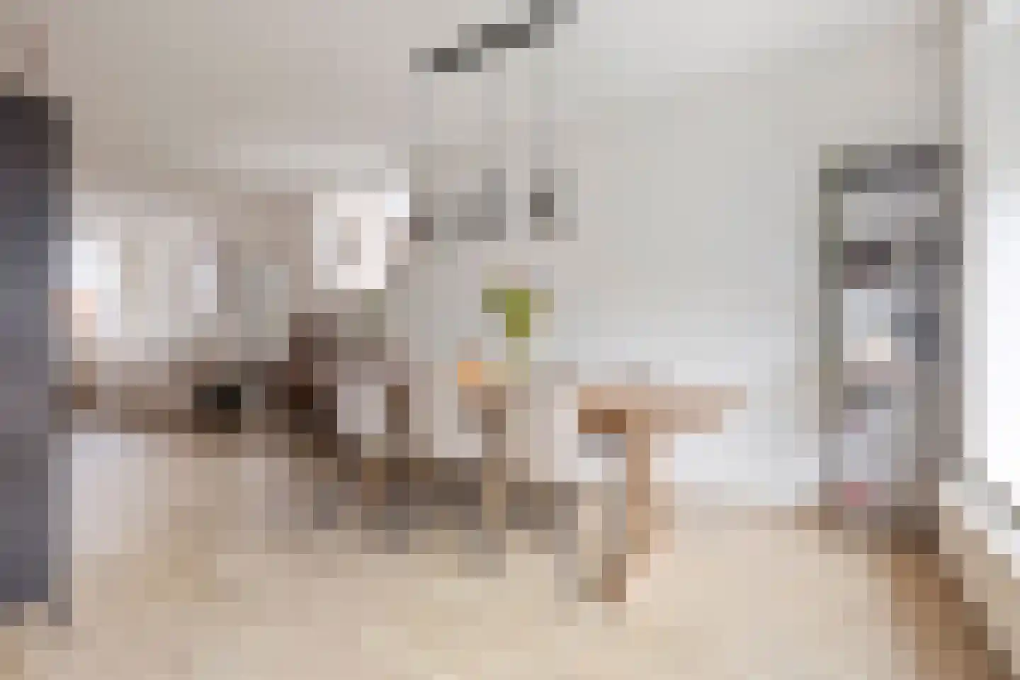 Hoofdstraat 45 Niezijl thumbnail 15
