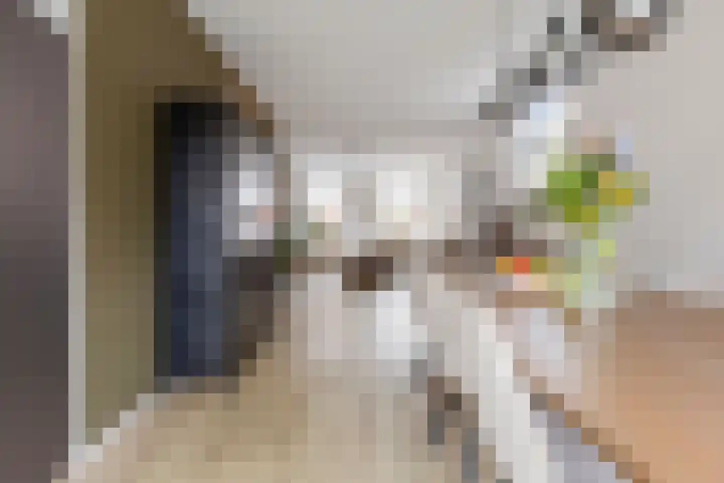 Hoofdstraat 45 Niezijl thumbnail 16