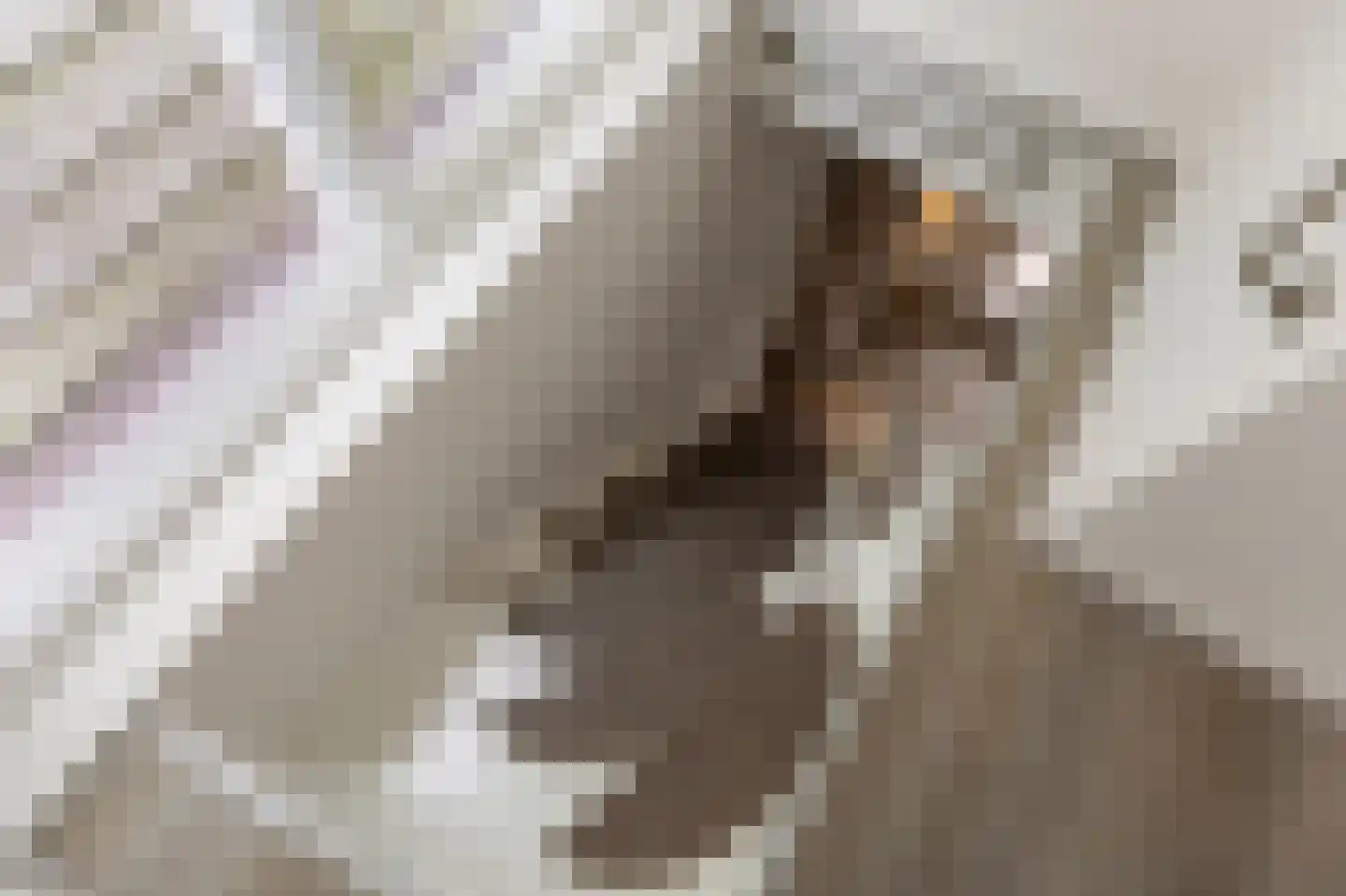 Hoofdstraat 45 Niezijl thumbnail 19