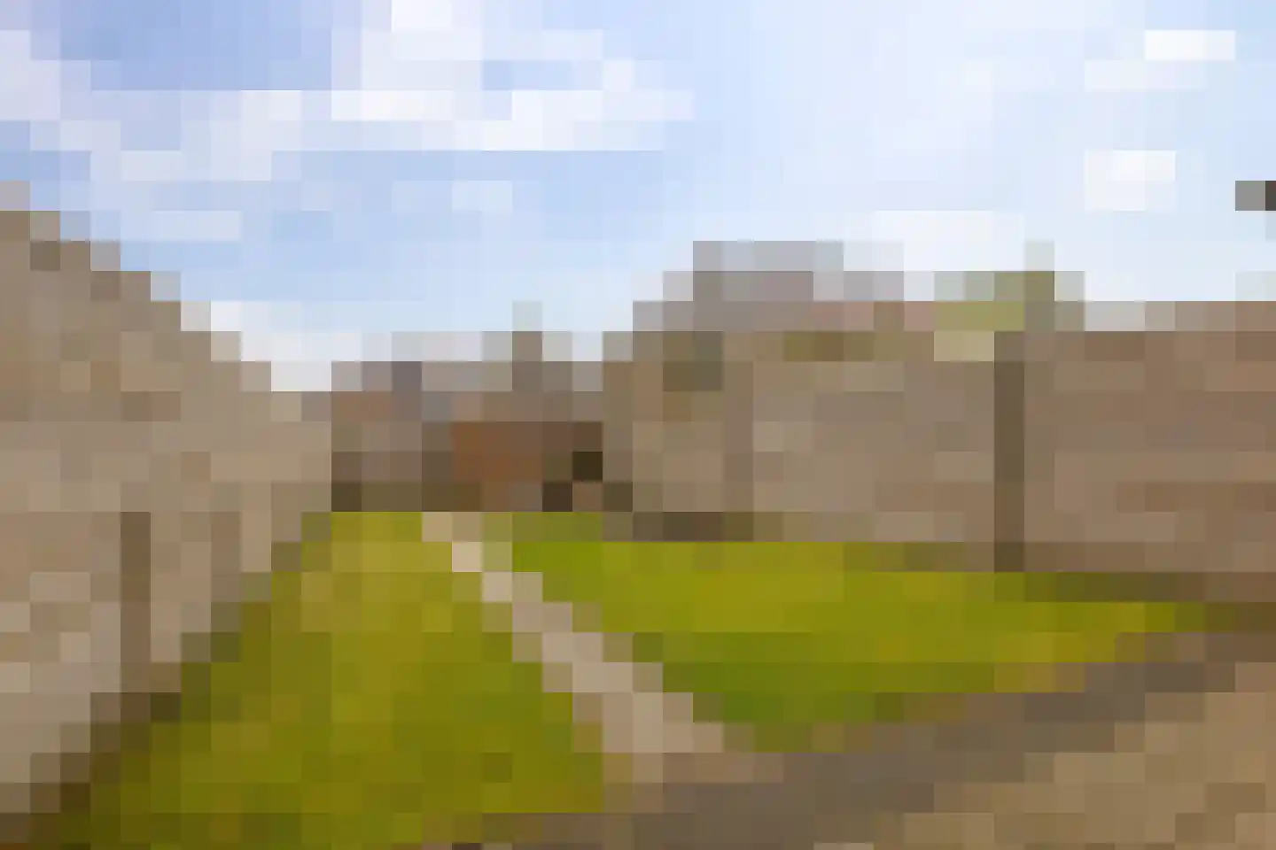 Hoofdstraat 45 Niezijl thumbnail 30