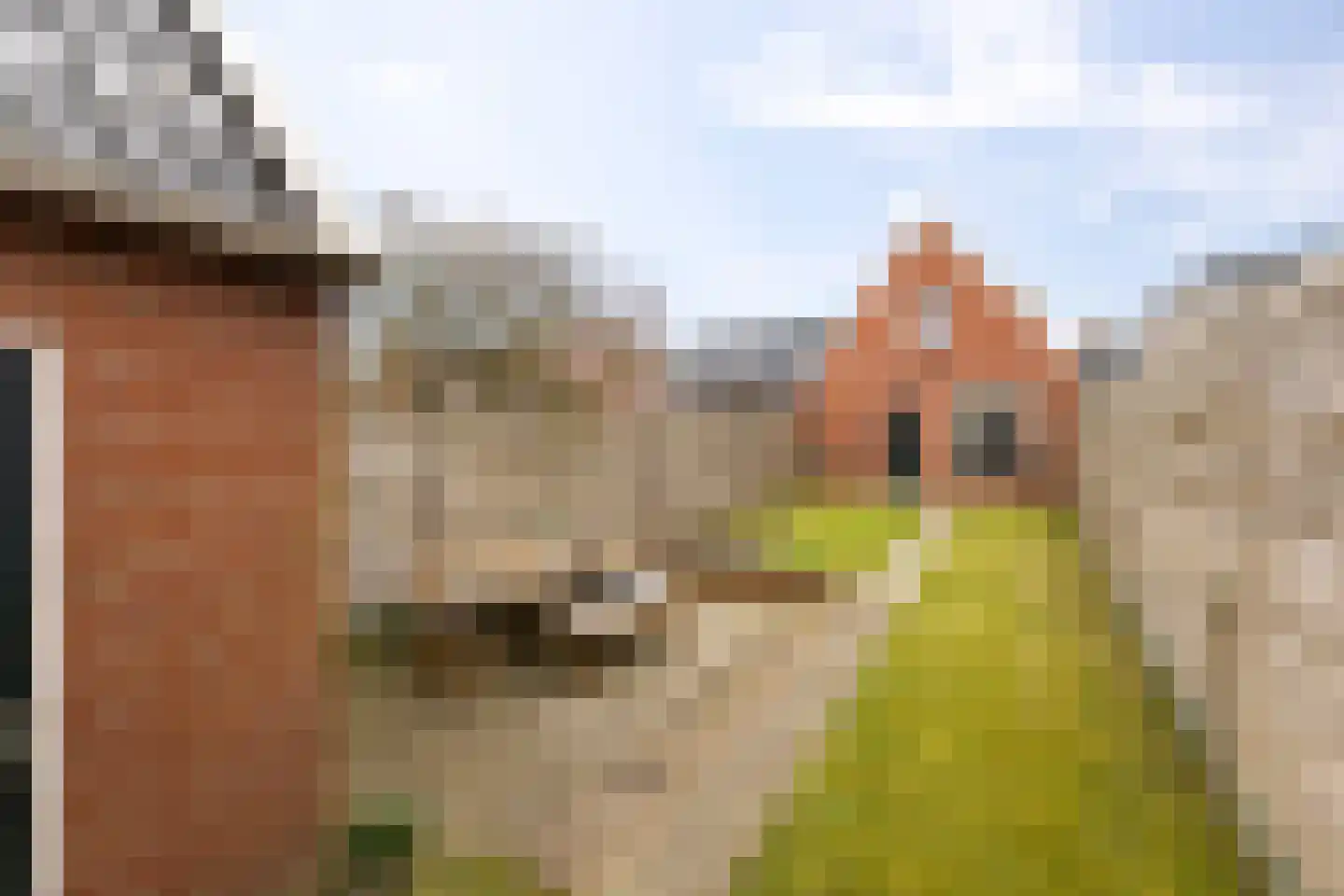 Hoofdstraat 45 Niezijl thumbnail 32