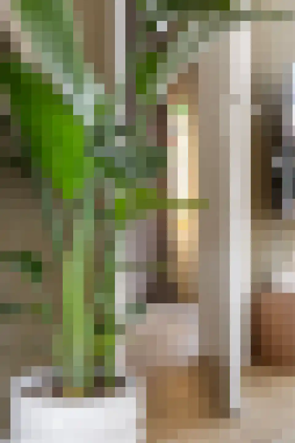 Hoofdstraat 45 Niezijl thumbnail 5