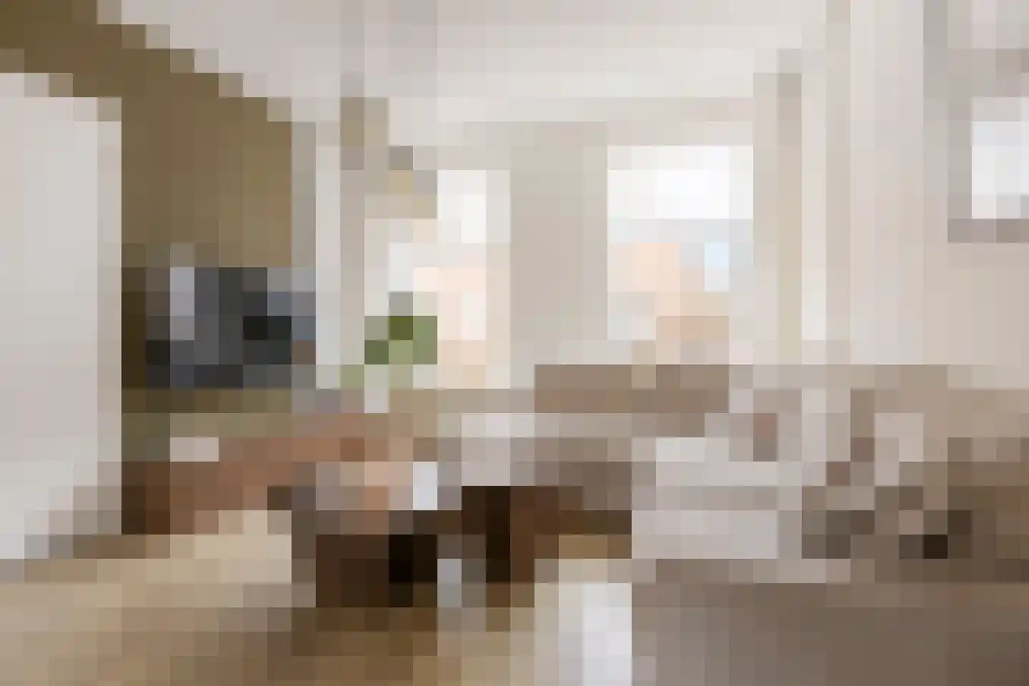 Hoofdstraat 45 Niezijl thumbnail 7