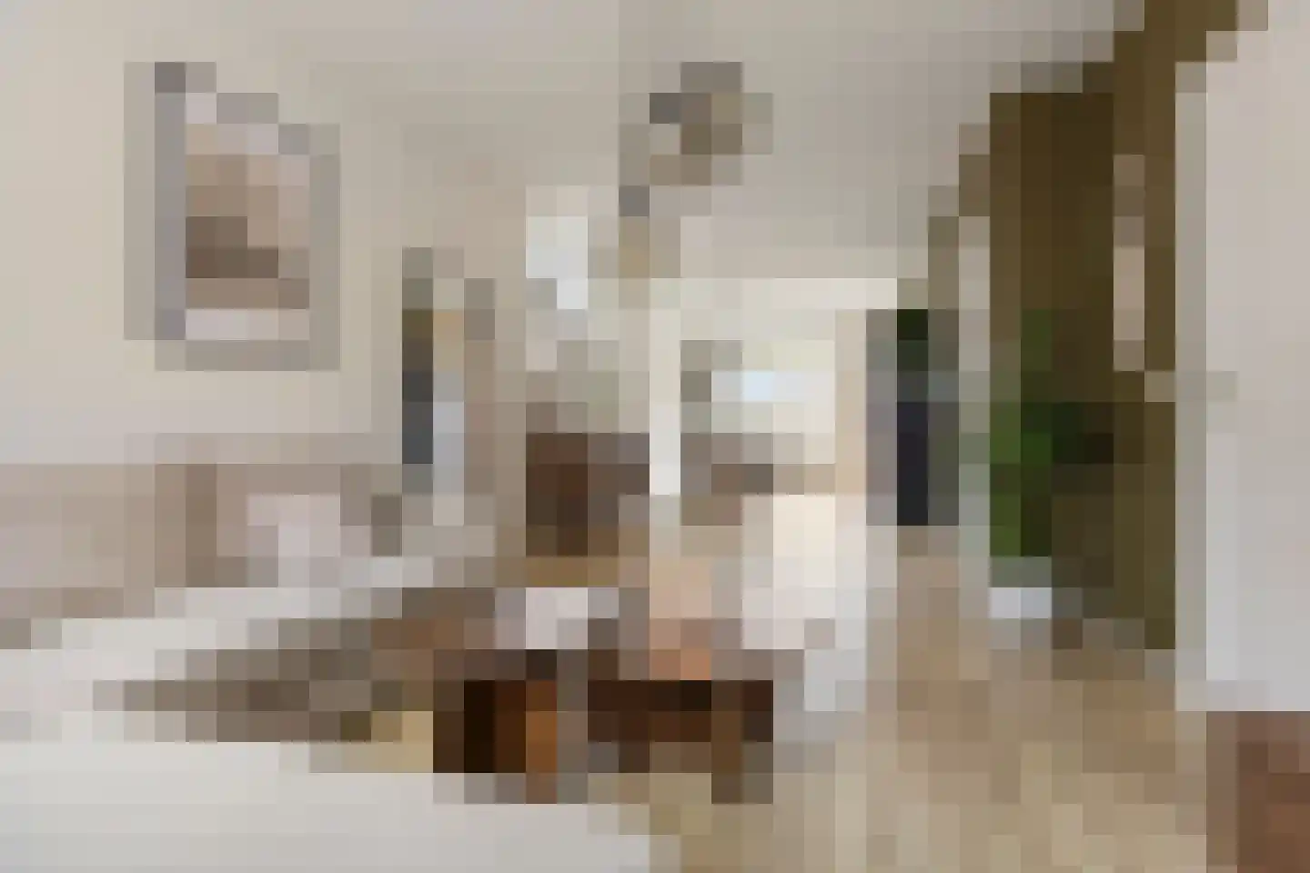 Hoofdstraat 45 Niezijl thumbnail 9