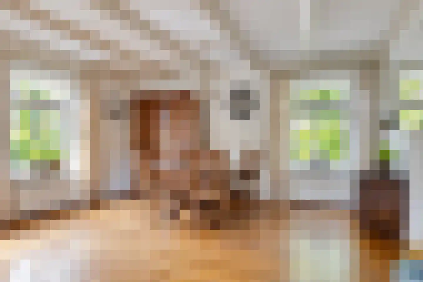 Hoofdstraat 47 Diever thumbnail 10