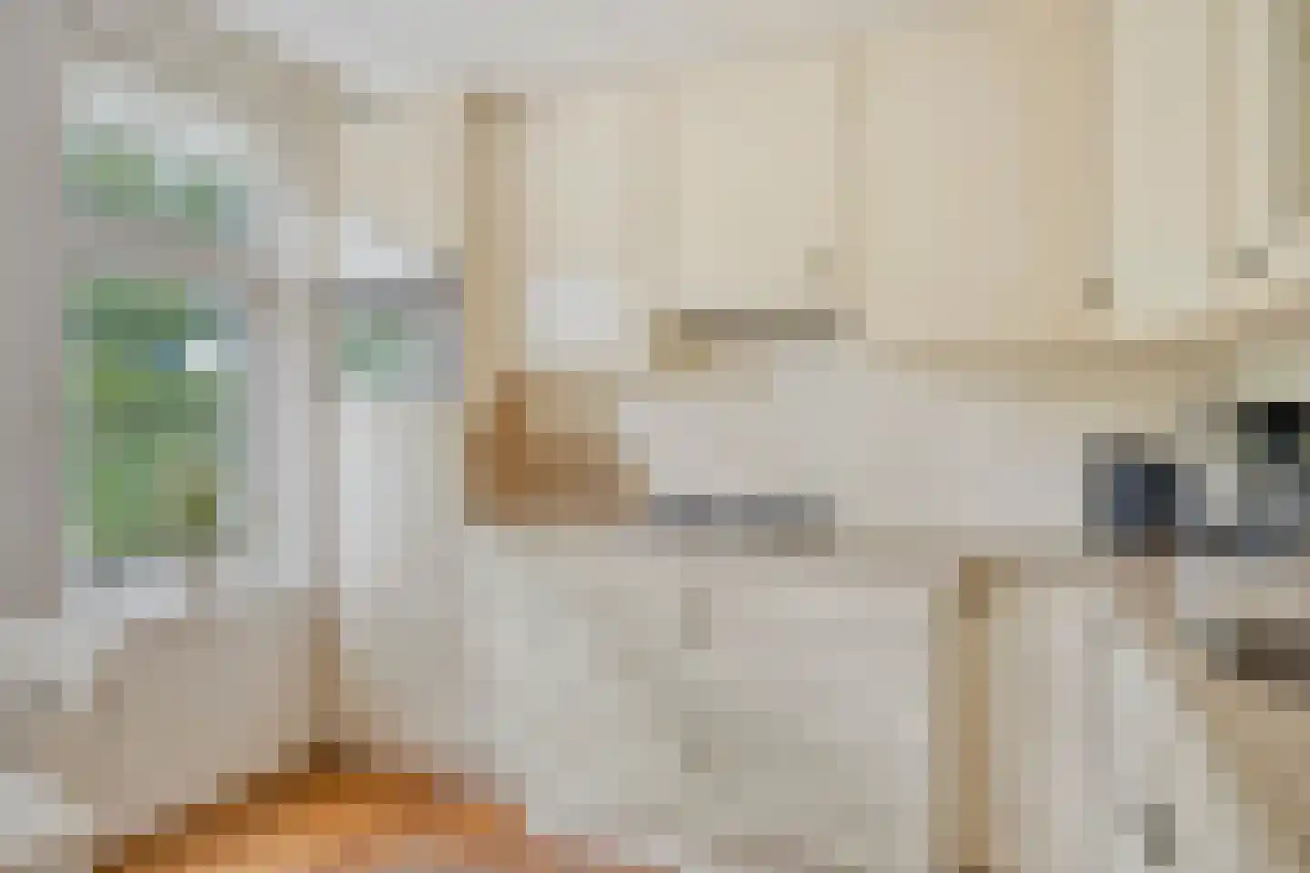 Hoofdstraat 47 Diever thumbnail 12