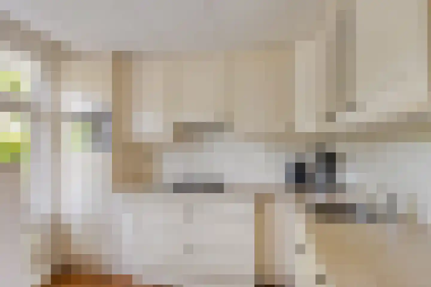 Hoofdstraat 47 Diever thumbnail 12