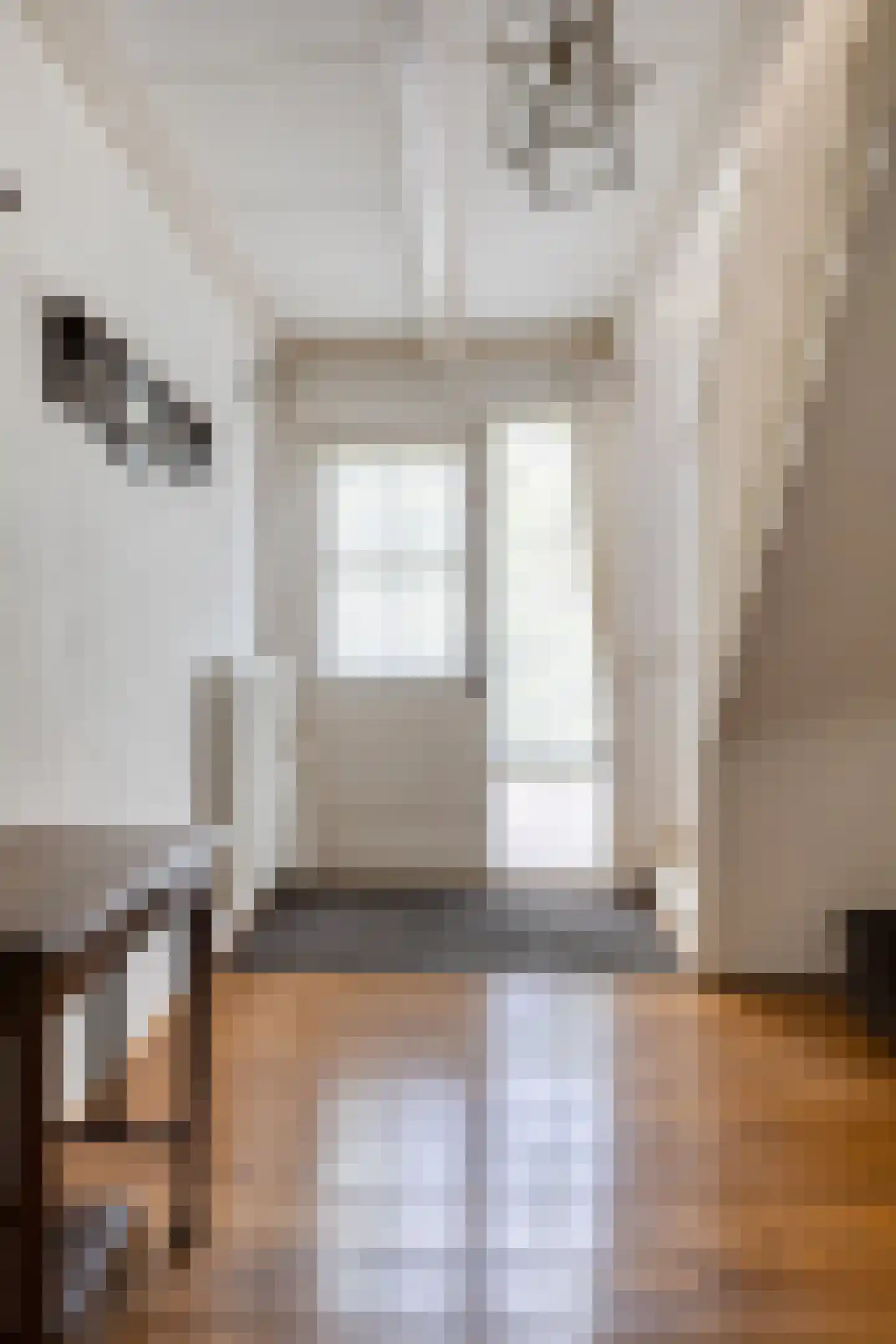 Hoofdstraat 47 Diever thumbnail 13