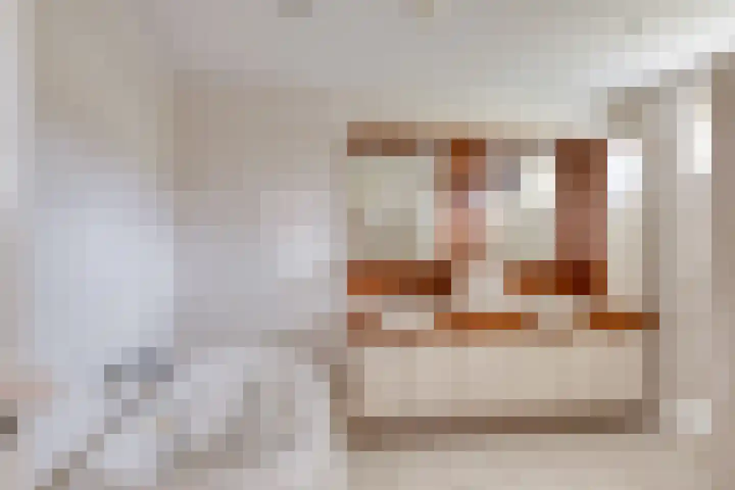 Hoofdstraat 47 Diever thumbnail 16