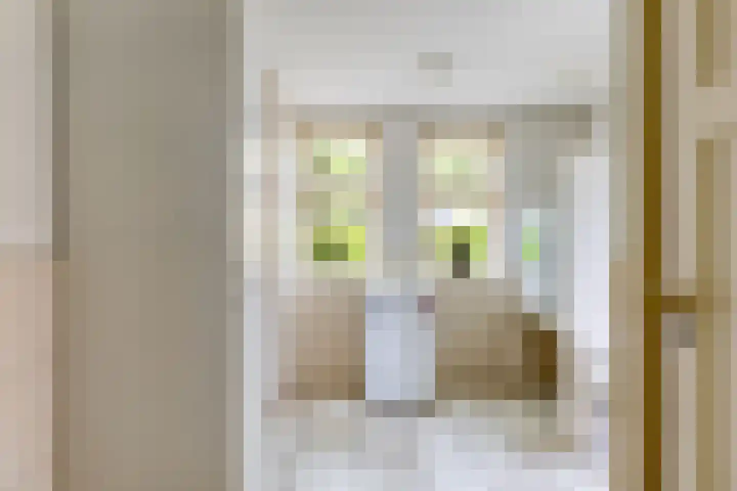 Hoofdstraat 47 Diever thumbnail 18