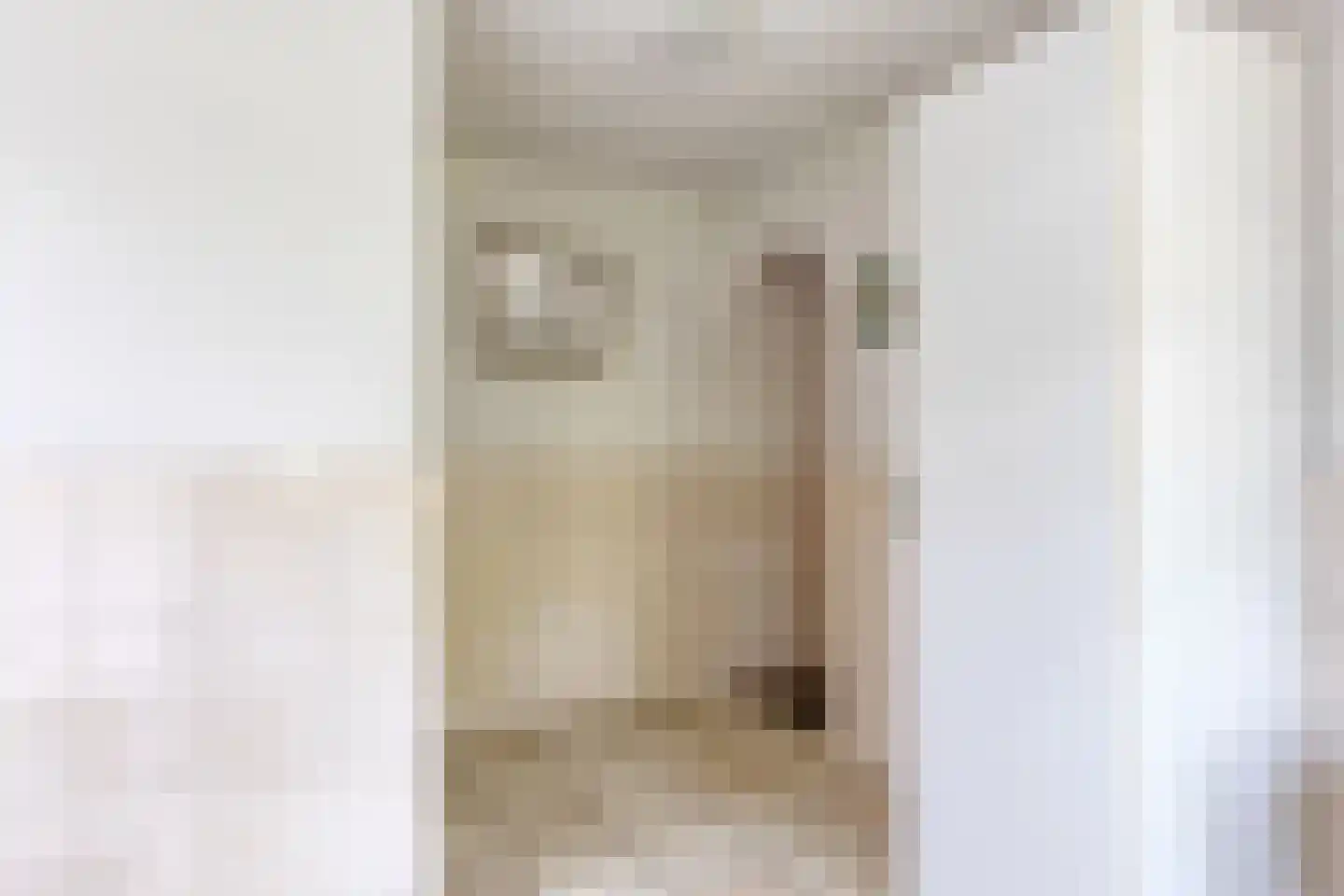 Hoofdstraat 47 Diever thumbnail 19
