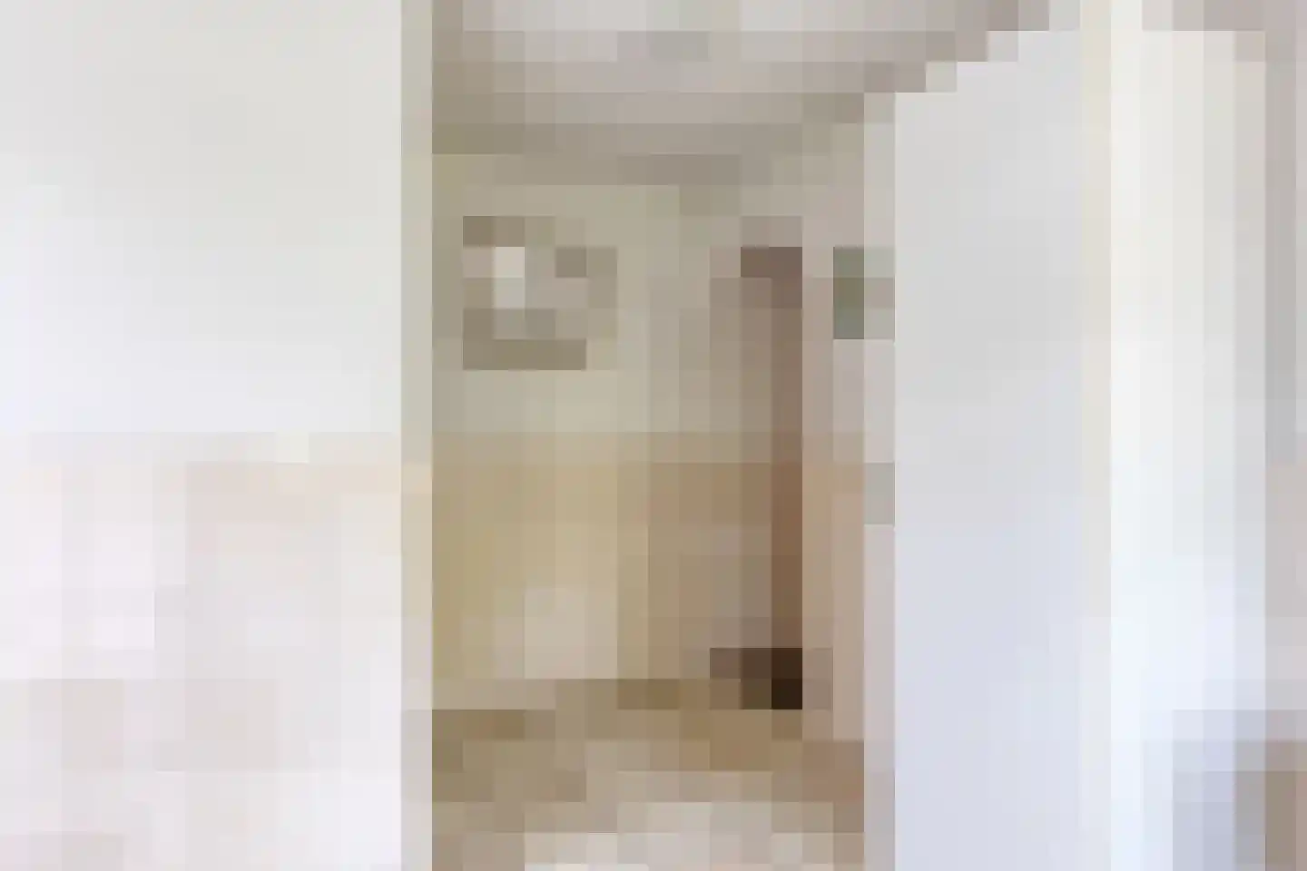 Hoofdstraat 47 Diever thumbnail 19