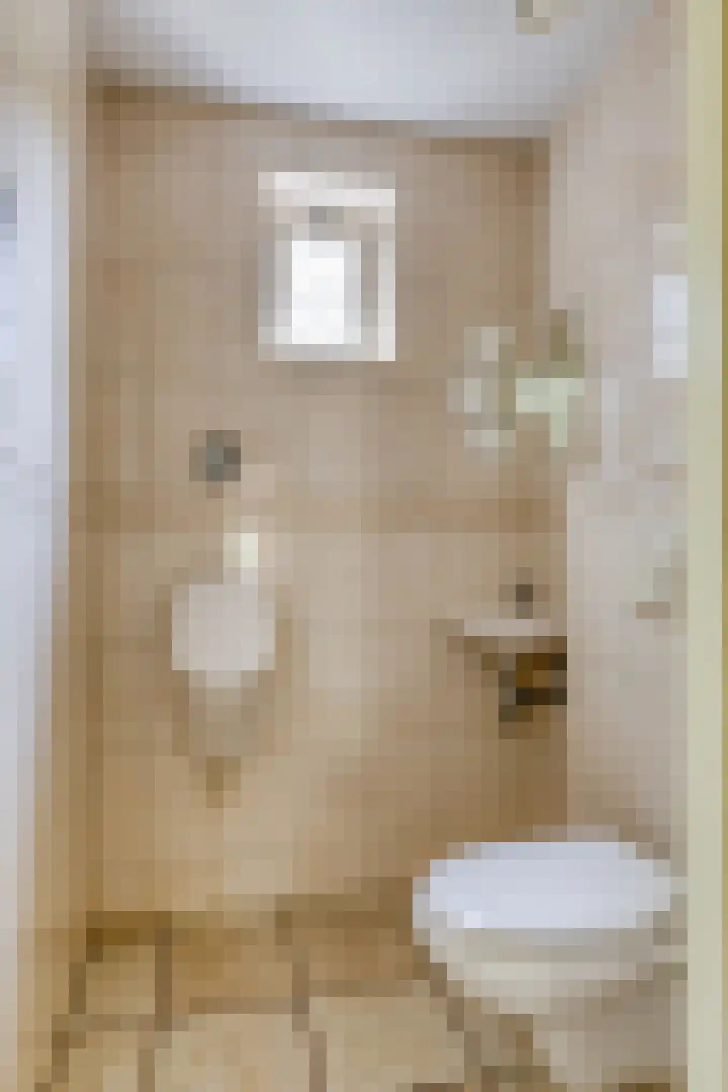 Hoofdstraat 47 Diever thumbnail 20