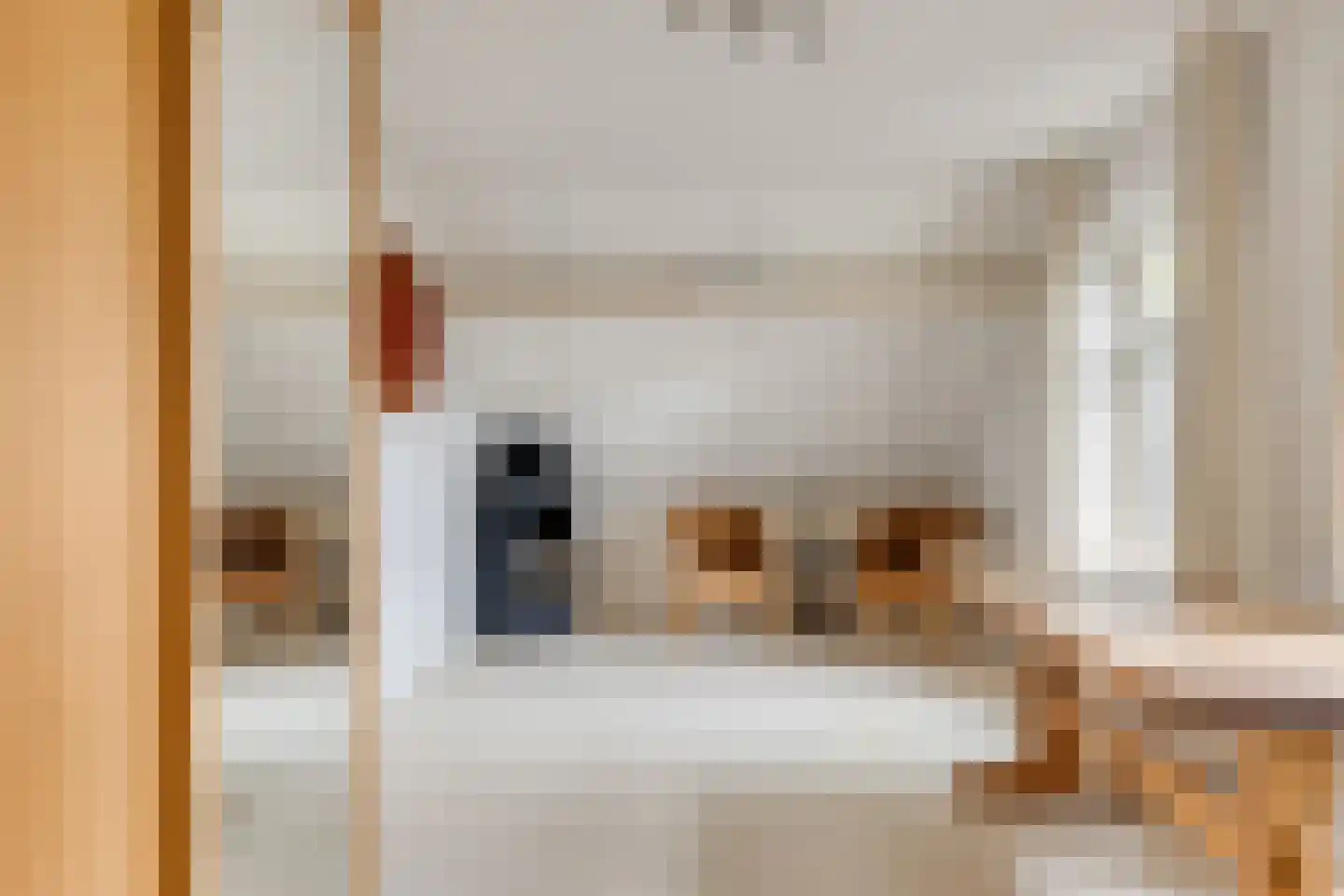 Hoofdstraat 47 Diever thumbnail 25