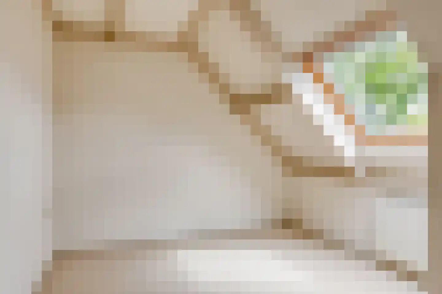 Hoofdstraat 47 Diever thumbnail 27