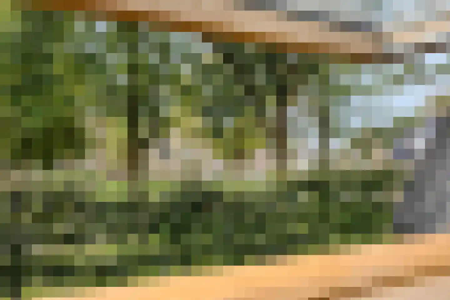 Hoofdstraat 47 Diever thumbnail 29