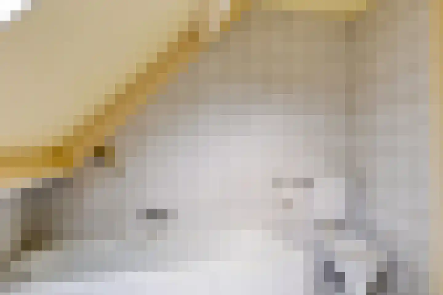 Hoofdstraat 47 Diever thumbnail 33