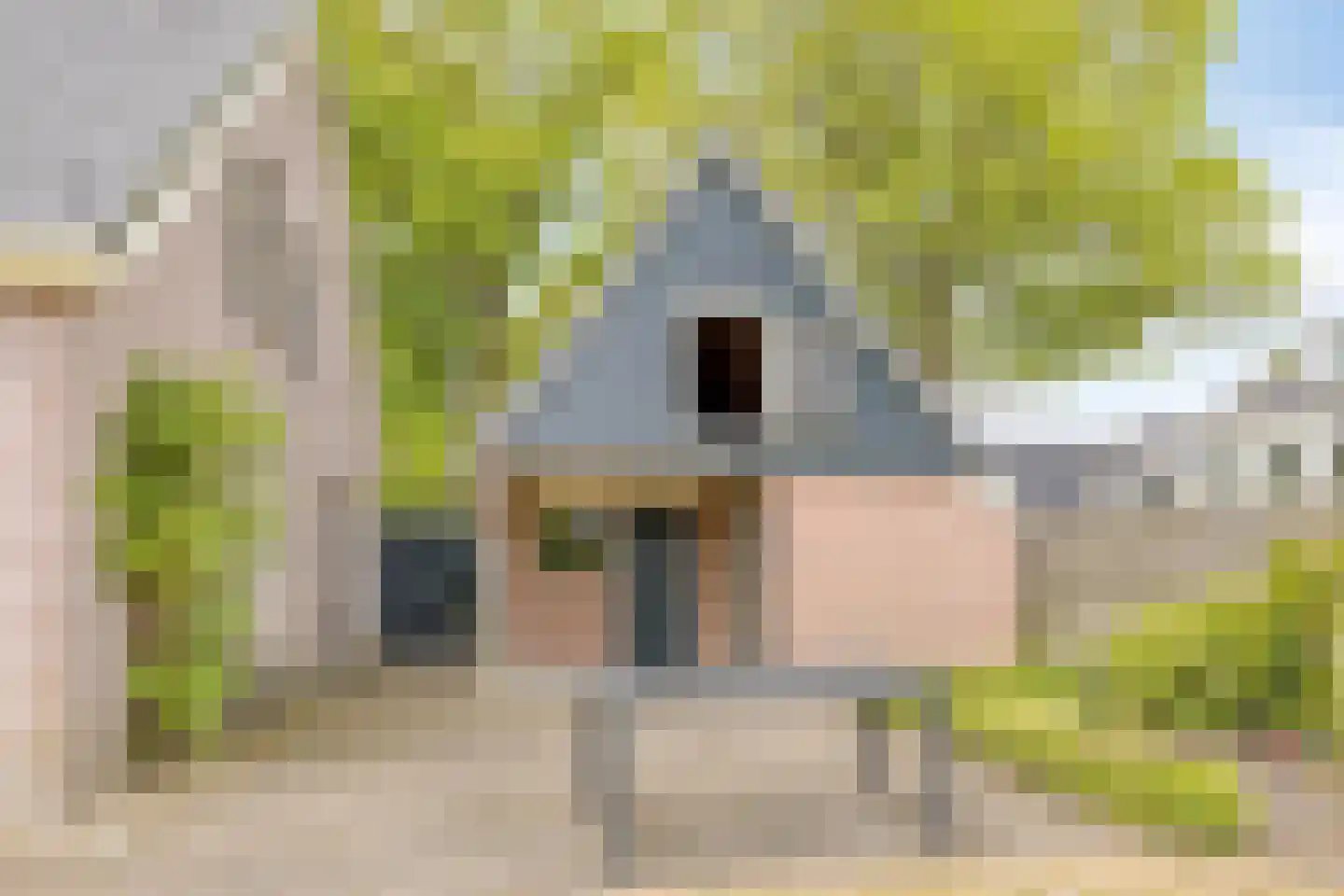 Hoofdstraat 47 Diever thumbnail 35