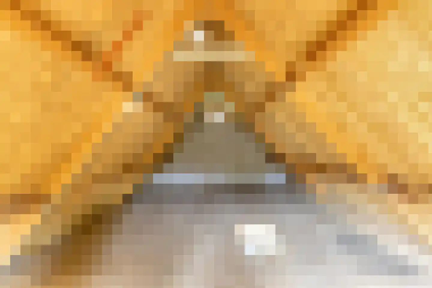 Hoofdstraat 47 Diever thumbnail 37