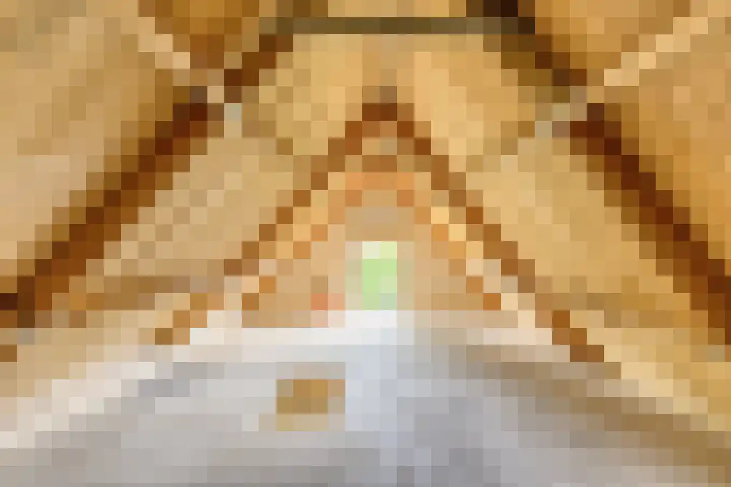 Hoofdstraat 47 Diever thumbnail 38