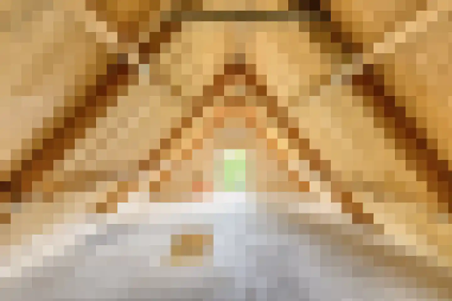 Hoofdstraat 47 Diever thumbnail 39