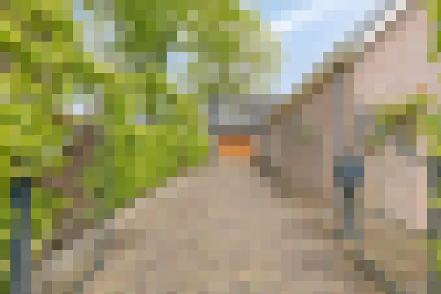 Hoofdstraat 47 Diever thumbnail 4