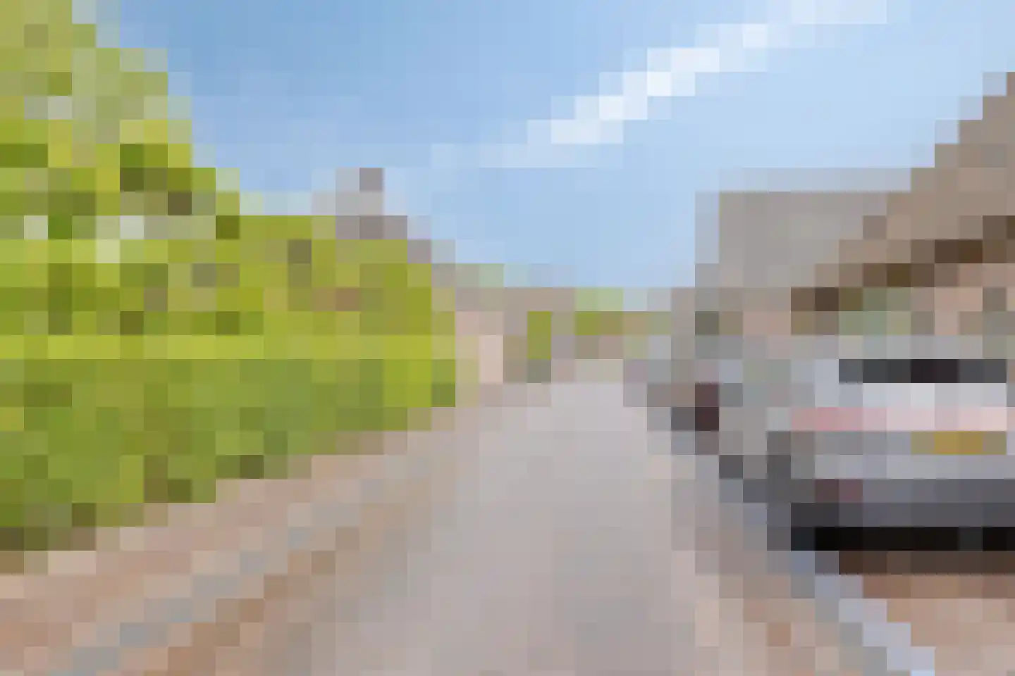 Hoofdstraat 47 Diever thumbnail 47