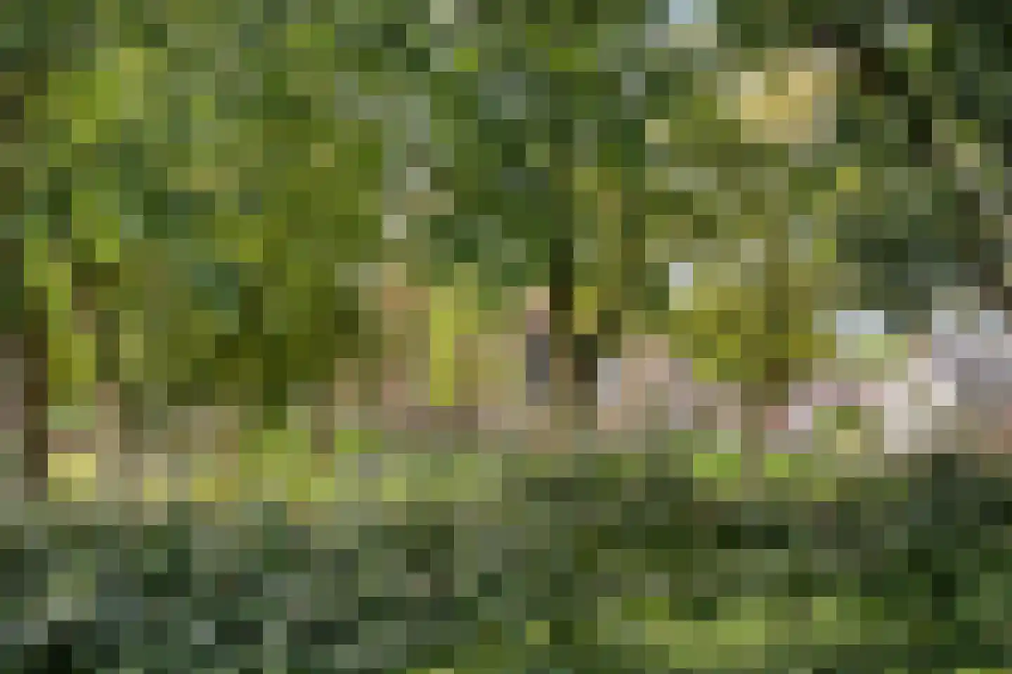 Hoofdstraat 47 Diever thumbnail 48