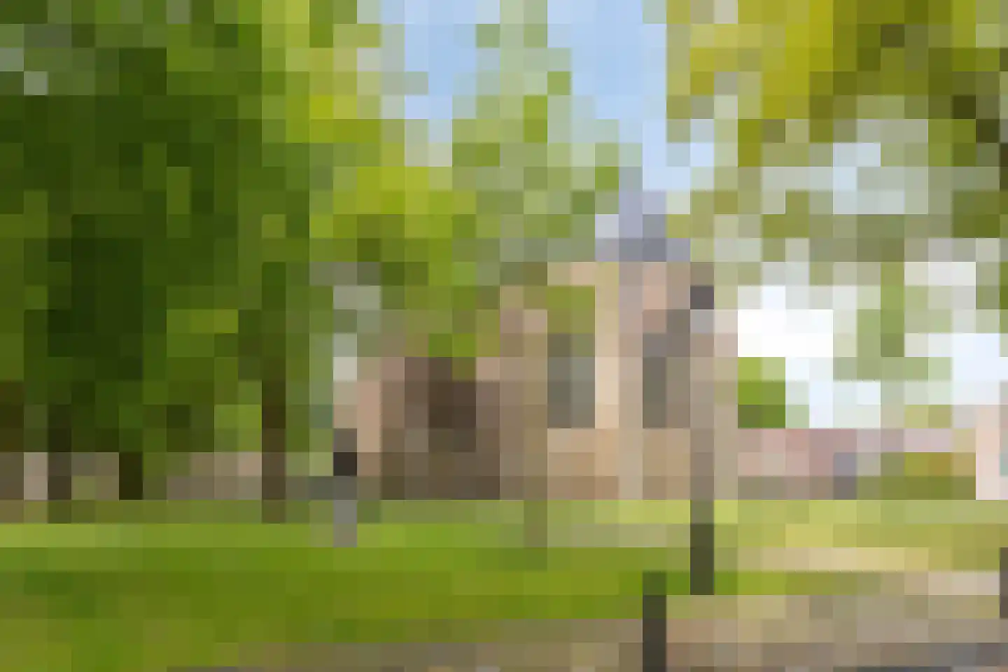 Hoofdstraat 47 Diever thumbnail 48