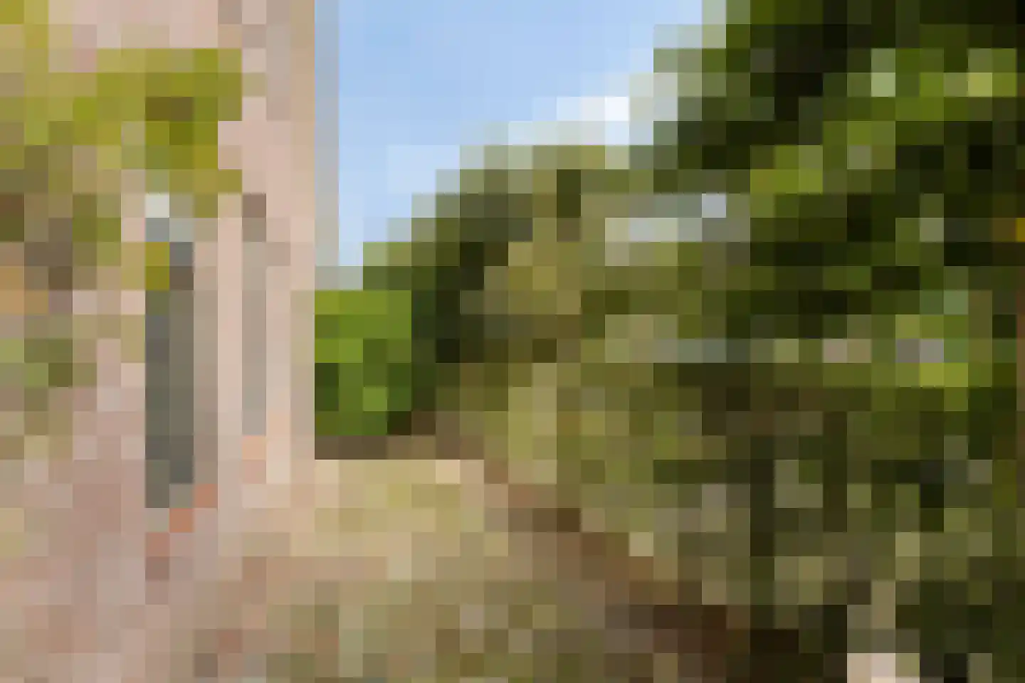 Hoofdstraat 47 Diever thumbnail 49