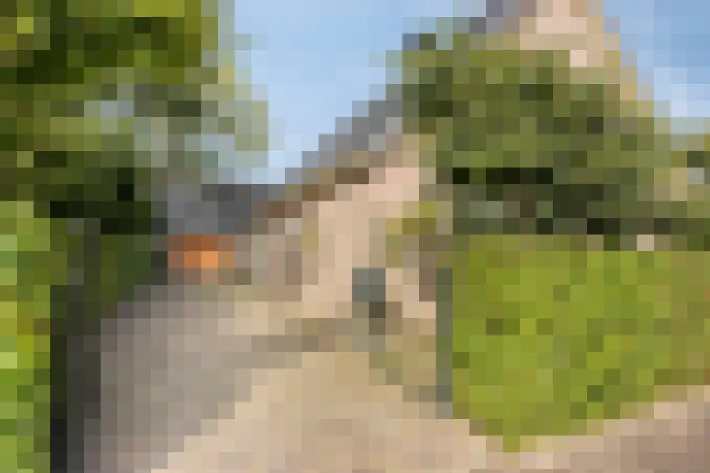 Hoofdstraat 47 Diever thumbnail 50