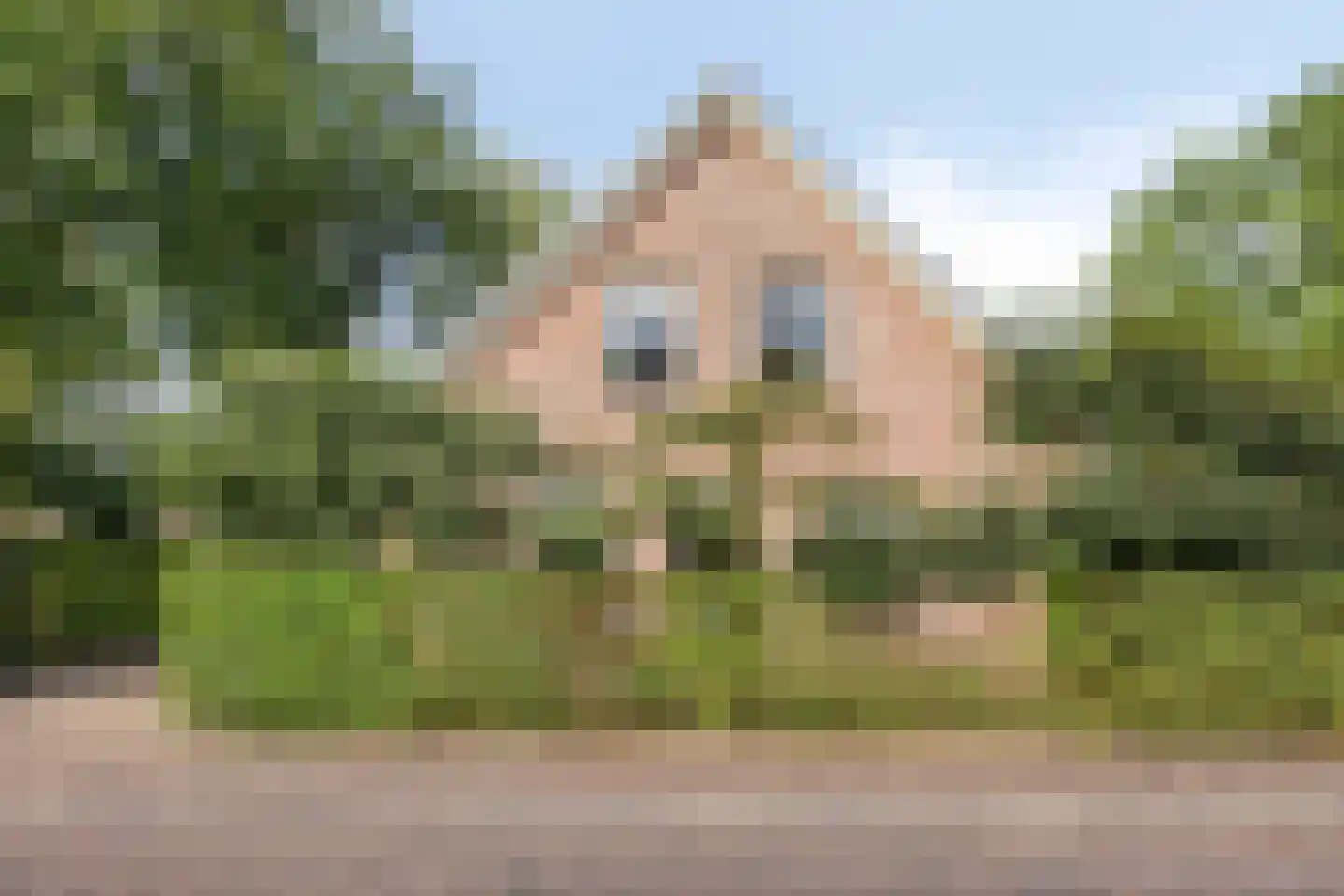 Hoofdstraat 47 Diever thumbnail 51