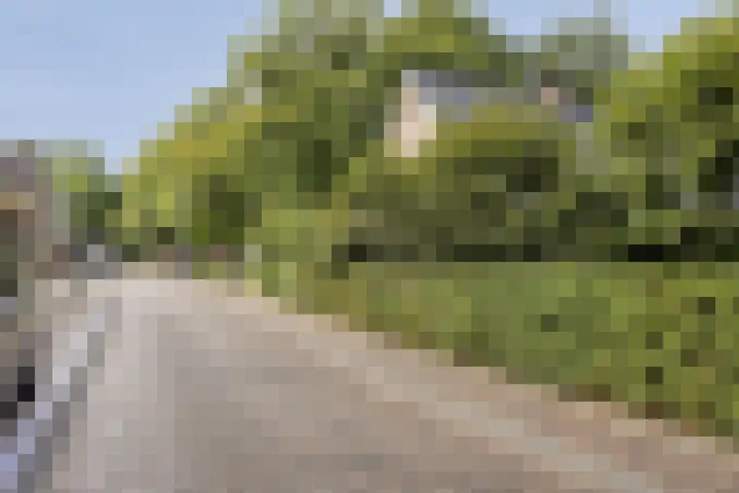 Hoofdstraat 47 Diever thumbnail 52