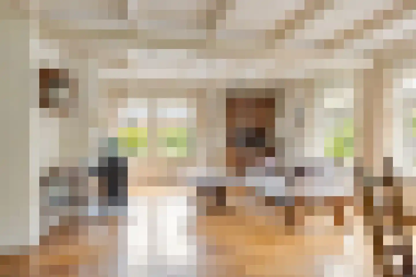 Hoofdstraat 47 Diever thumbnail 6