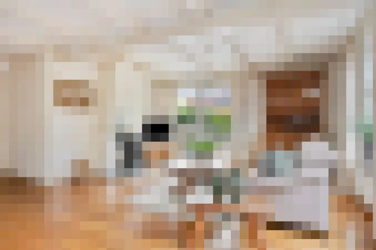 Hoofdstraat 47 Diever thumbnail 7