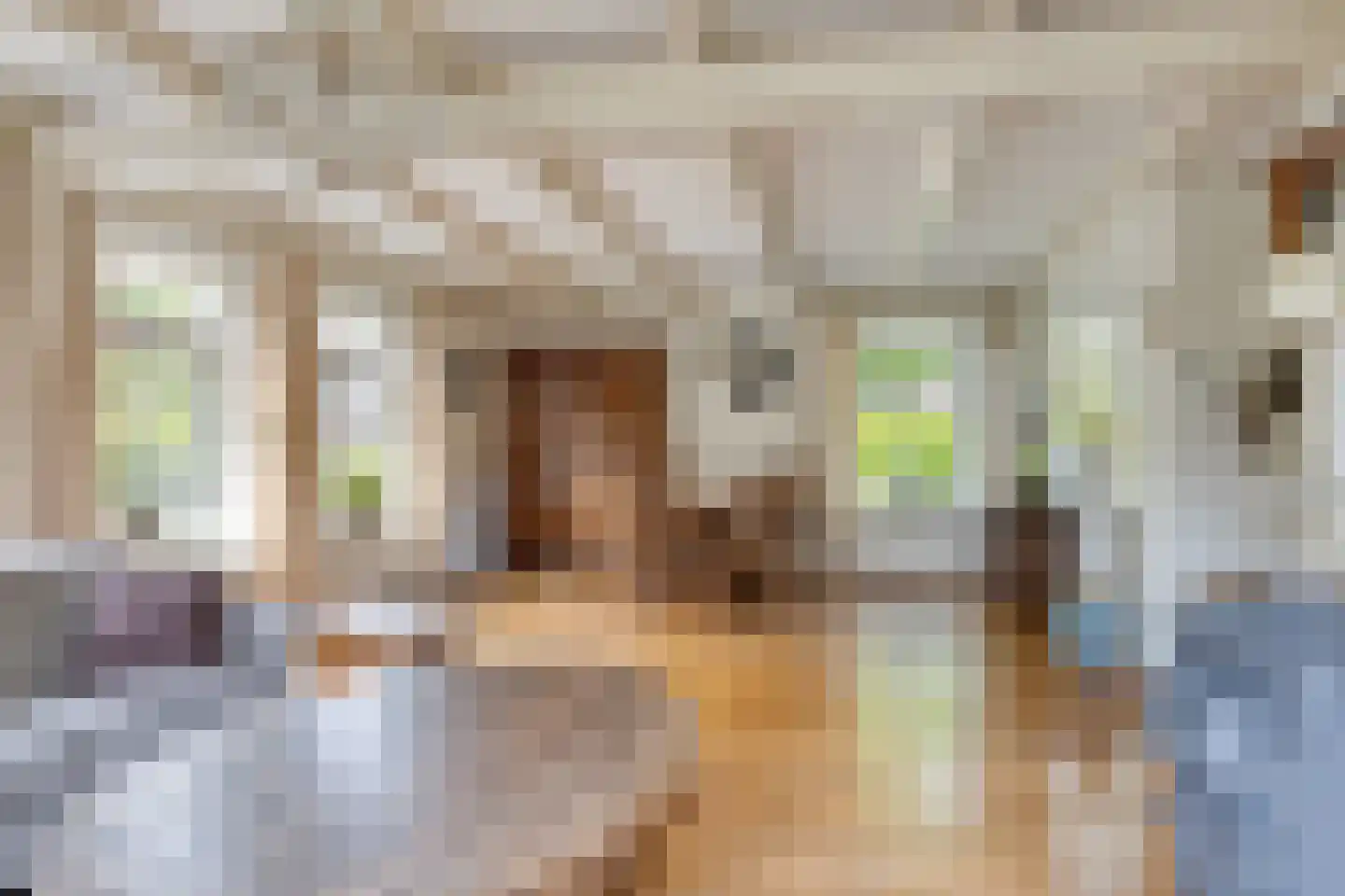 Hoofdstraat 47 Diever thumbnail 8