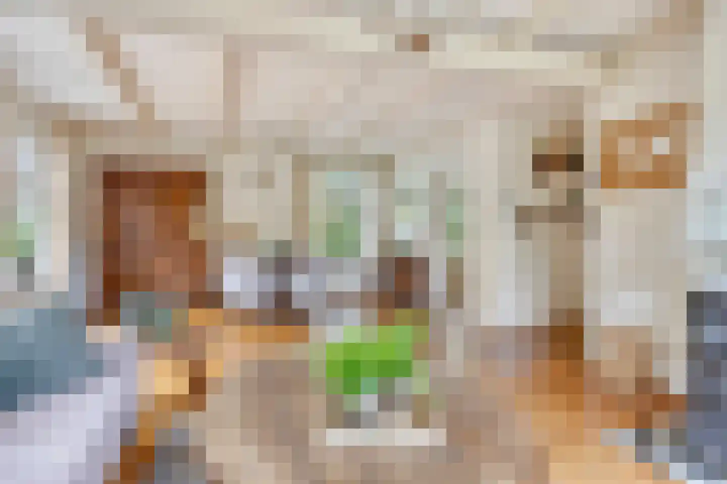 Hoofdstraat 47 Diever thumbnail 8